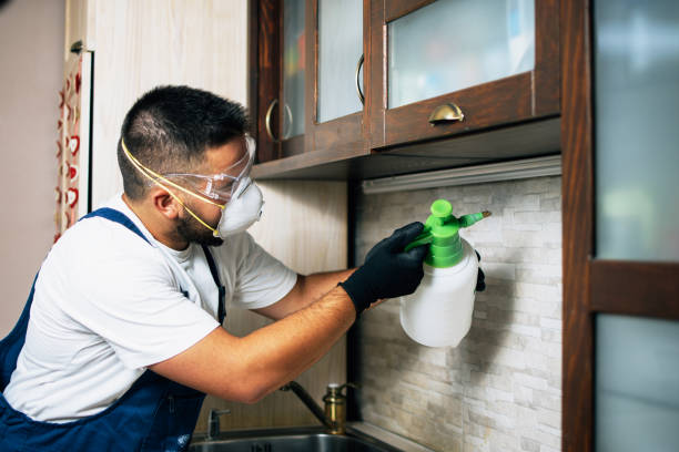 Best Pest Prevention Services  in Nevada City, CA