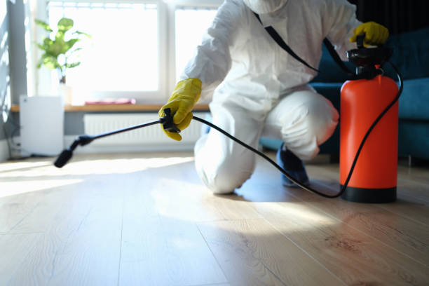 Trusted Nevada City, CA Pest Control Experts