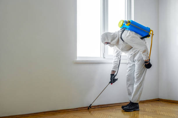 Best Termite Control Services  in Nevada City, CA