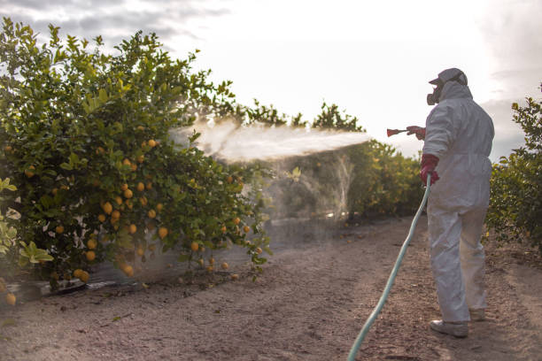 Professional Pest Control in Nevada City, CA