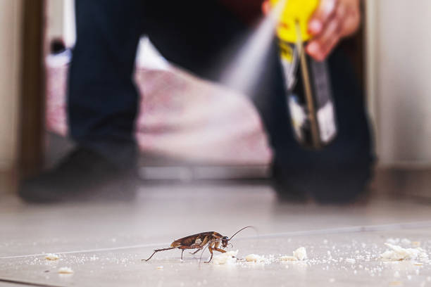 Best Commercial Pest Control Services  in Nevada City, CA