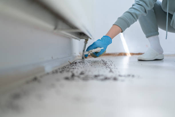 Best Commercial Pest Control Services  in Nevada City, CA