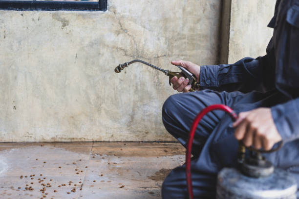 Best Pest Control Near Me  in Nevada City, CA